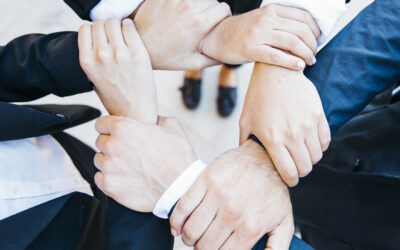 The Signature Empire Difference: Precision, Power, and Trust